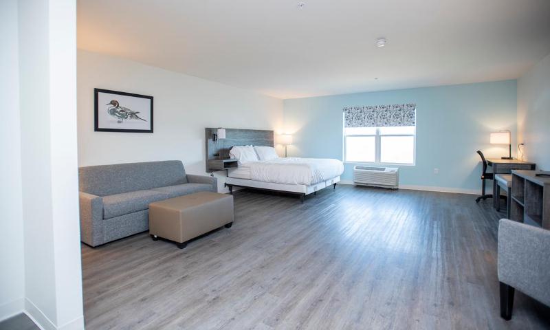 Deluxe King Suite image 2