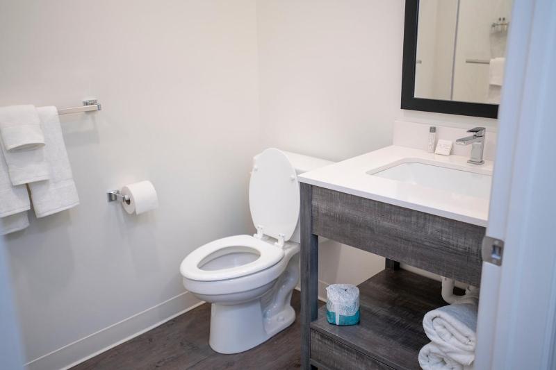 Deluxe King Suite image 4