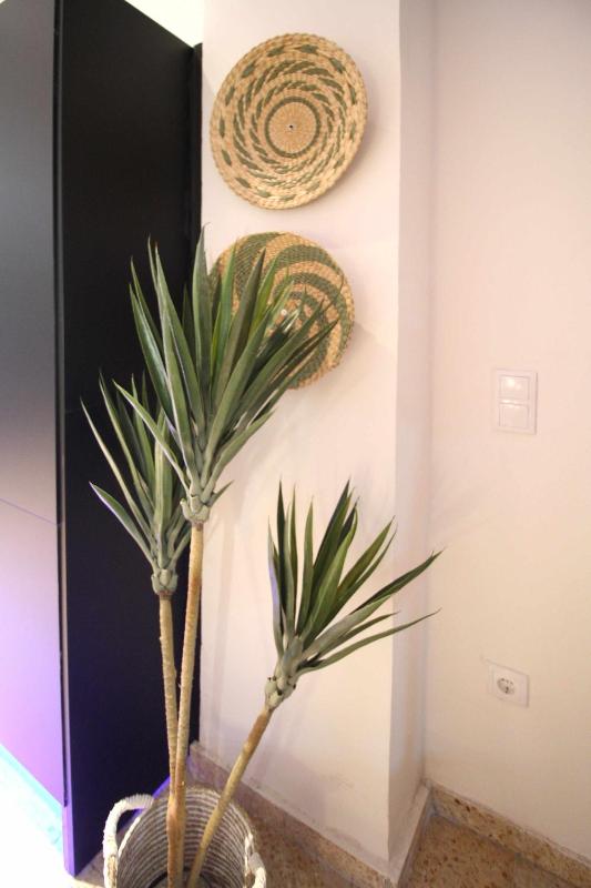 Estudio Baleares Apartamento n3 - image 5