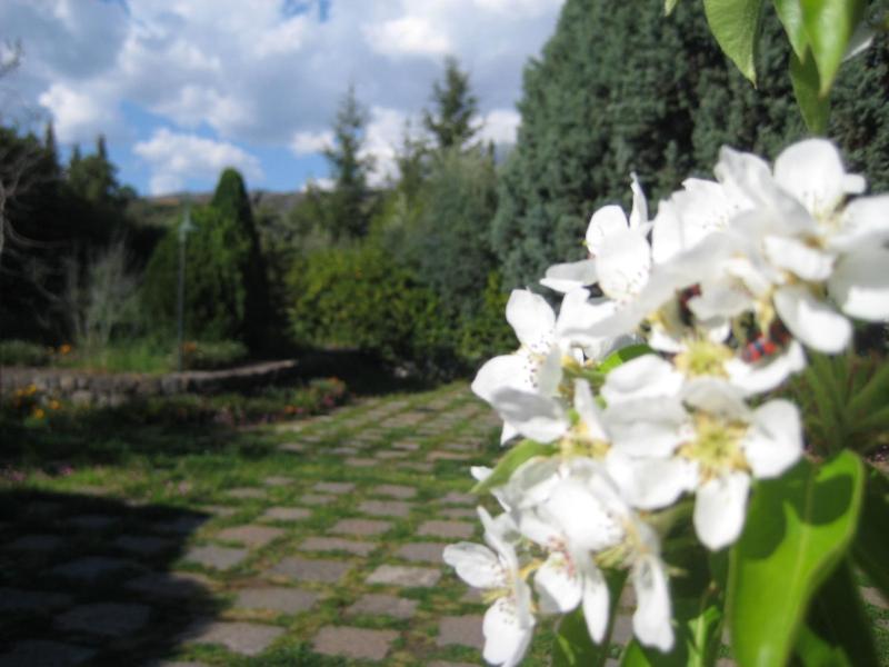Holiday Home image 1