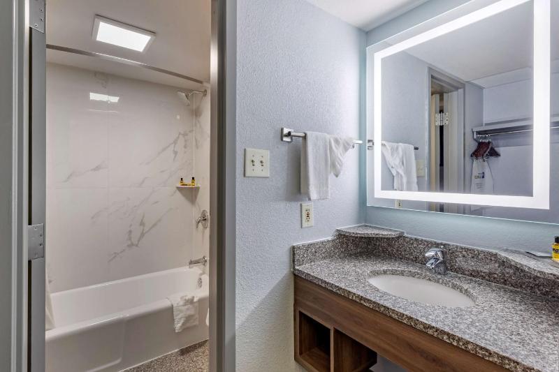 Queen Suite - Non-Smoking image 1