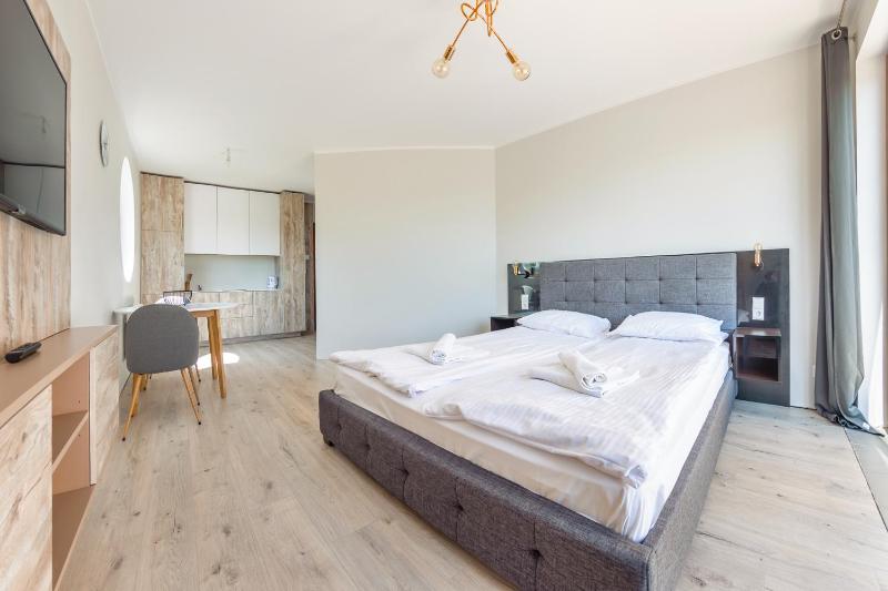 Studio Apartment image 4