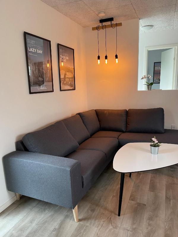 Three-Bedroom House (Private Jacuzzi for DKK 200) image 3