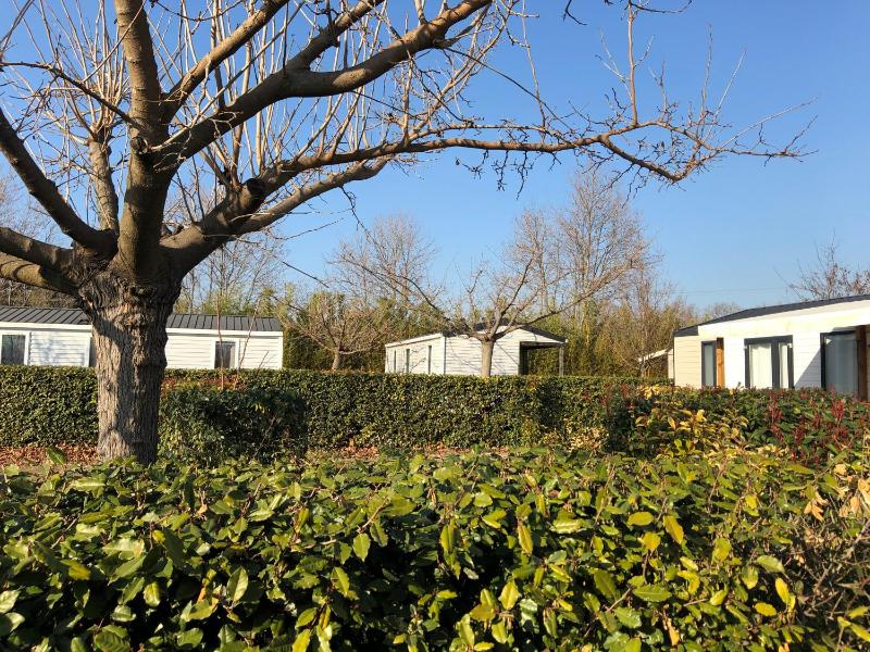 Camping L' Arlesienne - image 17