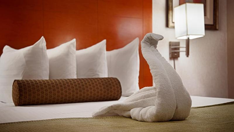 King Room with Roll In Shower-Disabilty Access