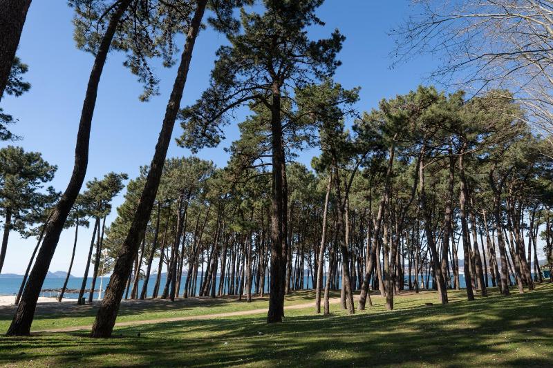 SAMIL PLAYA SUR - image 6