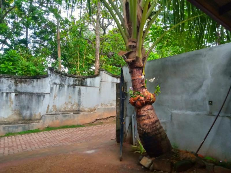 Anuk Villa - image 7