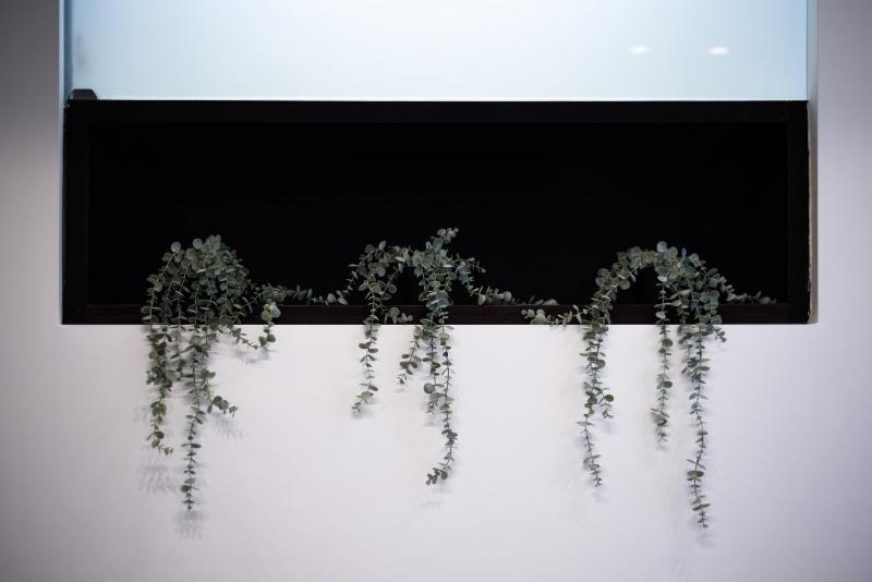 Via Morghen 63 - image 9