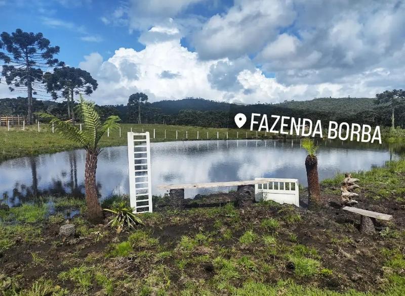 Casa e cabana de campo Fazenda Borba - image 38