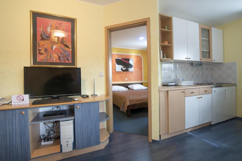 One-Bedroom Apartment image 2