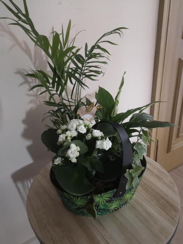 Superior Family Room image 2