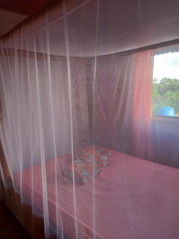 Bungalow au soleil - image 13