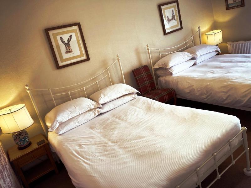 Deluxe Twin Room image 1