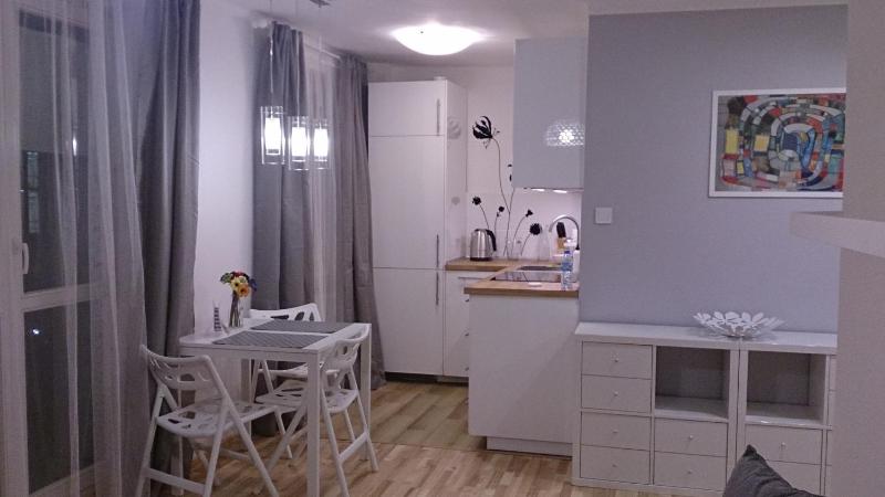 One-Bedroom Apartment image 4
