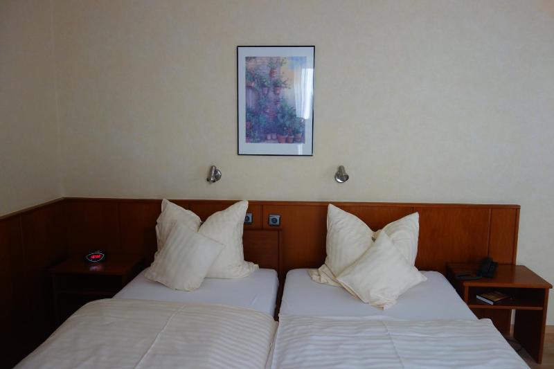 Large Double Room image 1