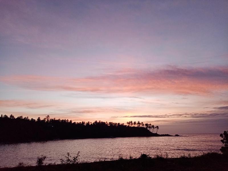 Surf Paradise - image 32