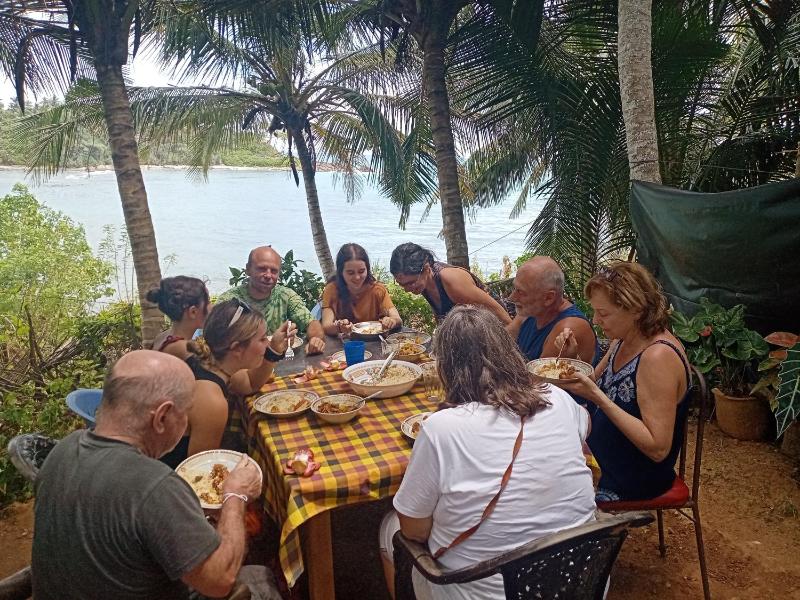 Surf Paradise 2 - image 18