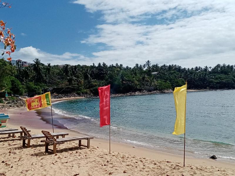 Surf Paradise - image 6