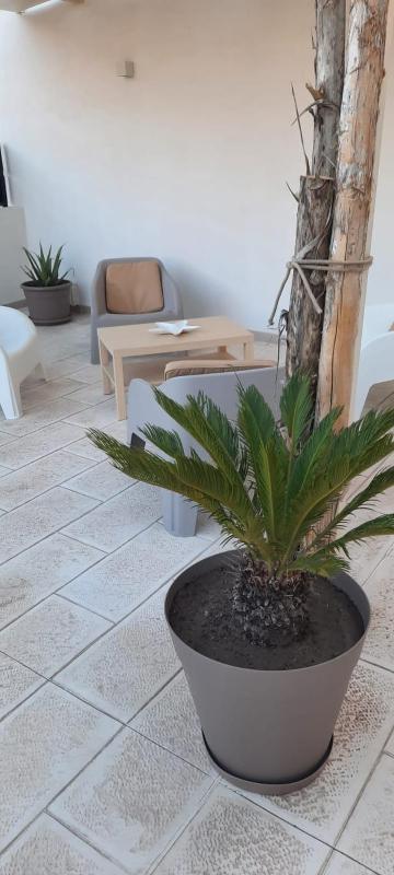 Scogliera apartments - image 6