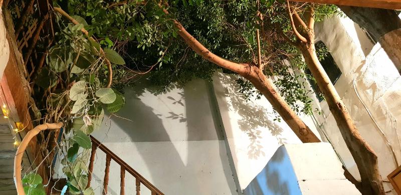 HabuHeritageHomeStayInLuxor - image 15