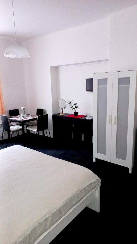 Studio Apartment image 3