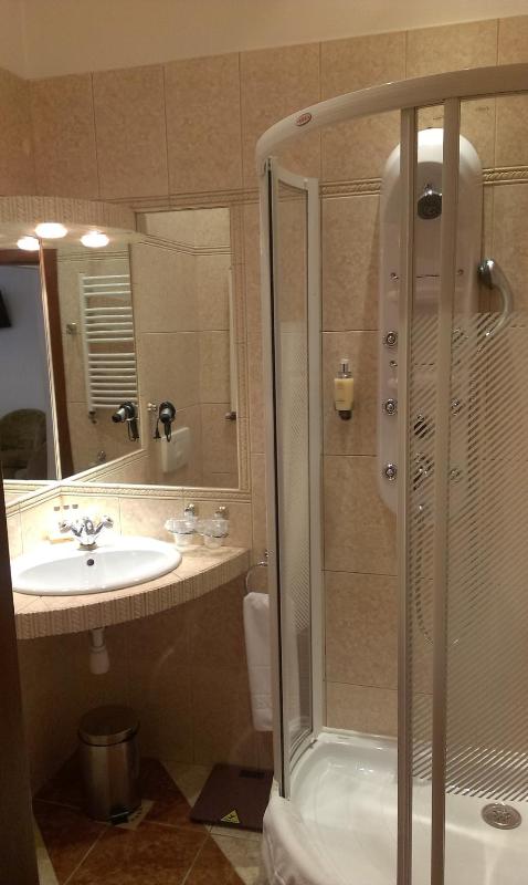 Superior Single Room image 4