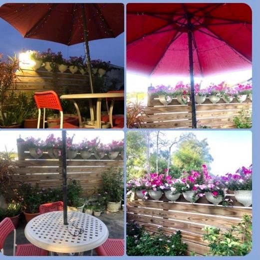 Green Fu Spa Homestay - image 11
