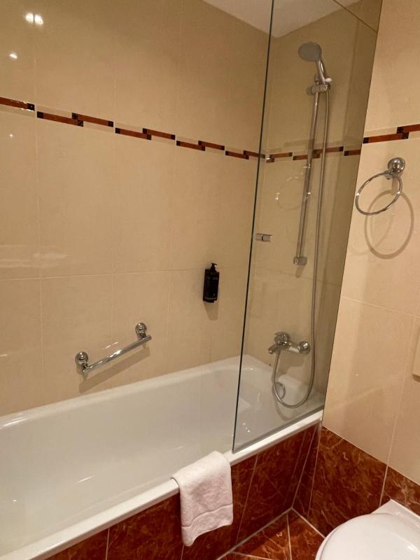 Standard Plus Double Room image 2