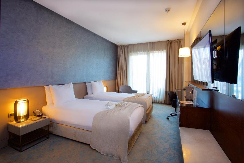 Standard Twin Room image 3