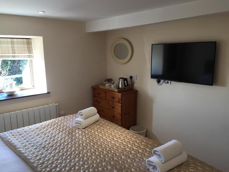 Large Double or Twin Room image 4