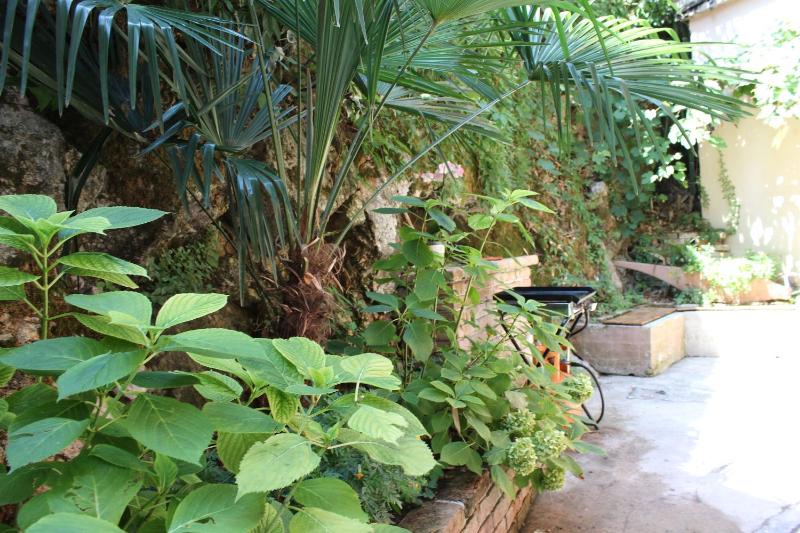 One-Bedroom Apartment image 3