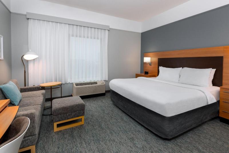 Large King Studio Suite image 1