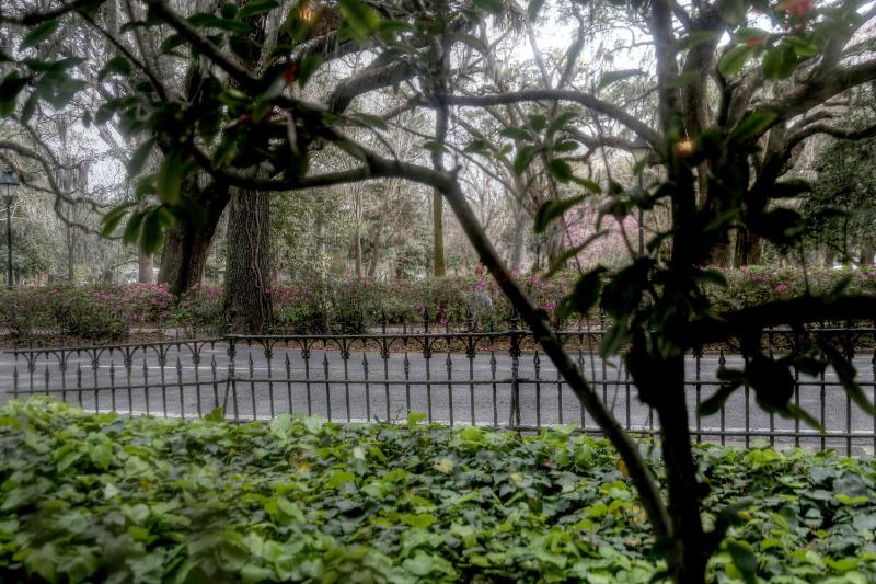 Forsyth Park Inn - image 18