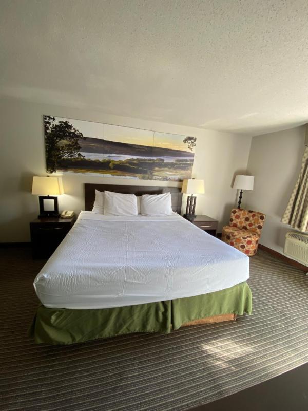 King Room - Non-Smoking image 2