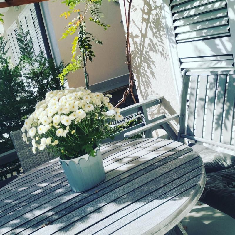 Cosy home Lalëz Durrës - image 12