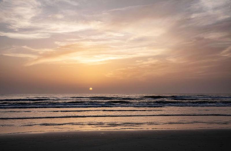 Best Western New Smyrna Beach Hotel and Suites - image 31