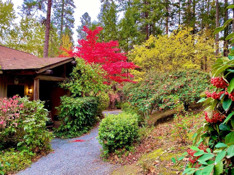 Cabin with Queen Bed and River View image 2