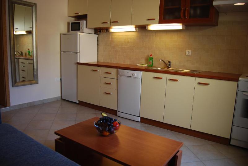 One-Bedroom Apartment image 3