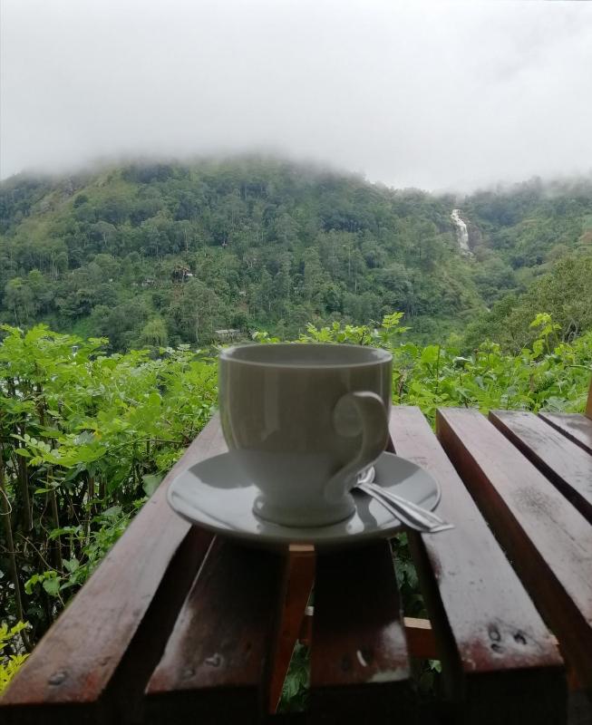 Super View Home Stay - image 12