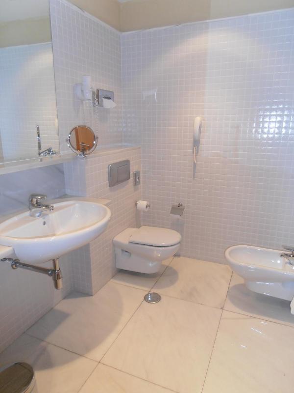 Superior Double Room image 3