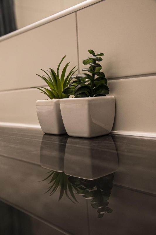 Standard Double Room image 1