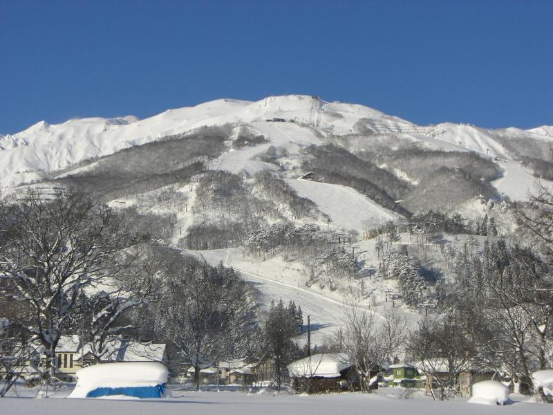 Nagomi-tei - image 16
