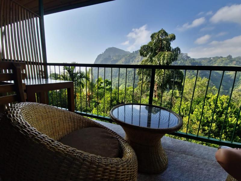 Ella Country House - image 11
