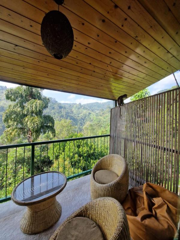 Ella Country House - image 10