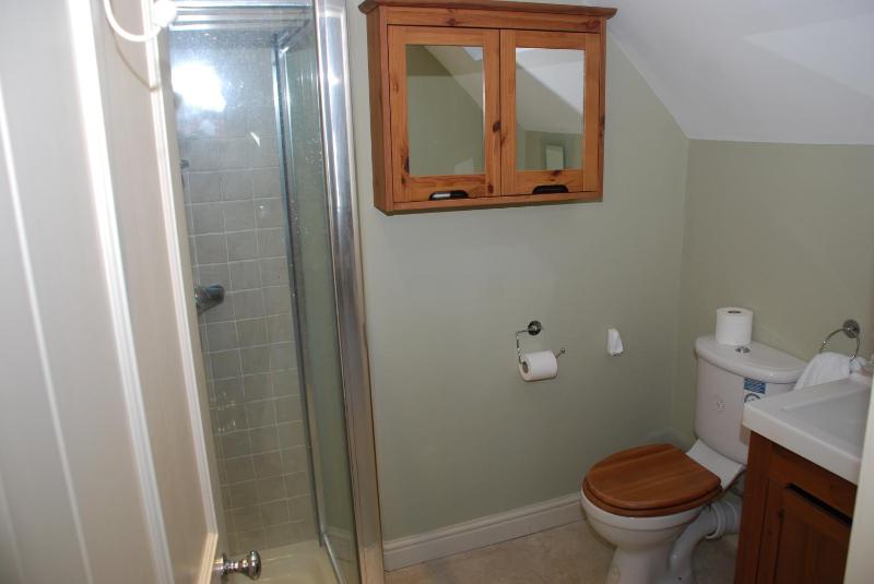 Springdale Guest House - image 37