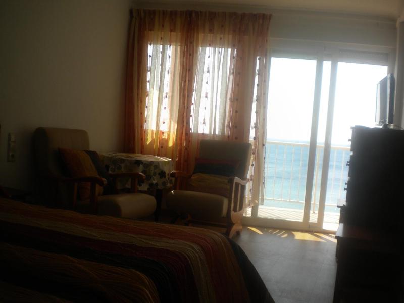 One-Bedroom Apartment (4 Adults) image 4