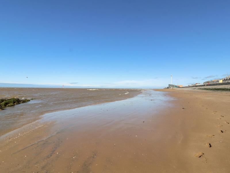 Cariad Bach - image 16