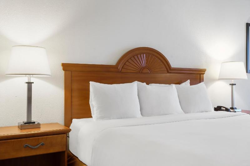 Standard King Room image 1