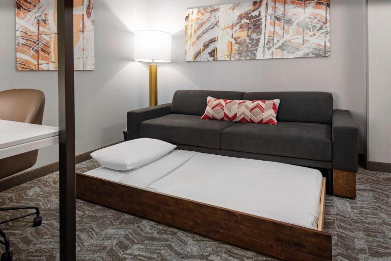 Oversized Queen Suite with Water View image 4