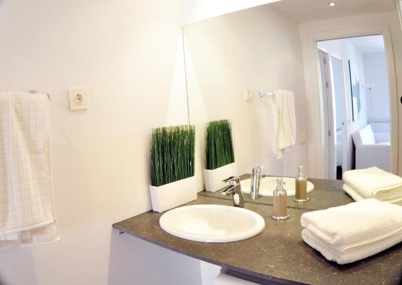 Two-Bedroom Apartment with Balcony image 3